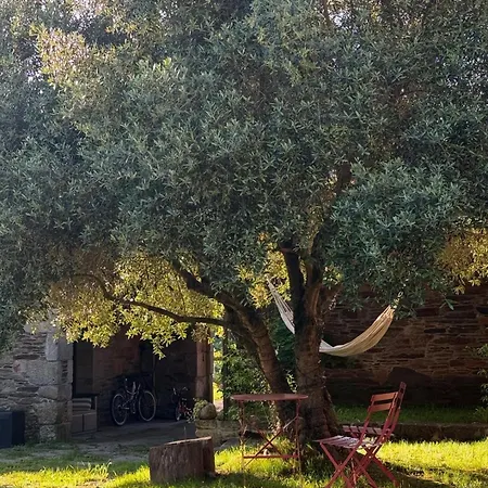 Casa Grande De Lancara カントリーハウス *